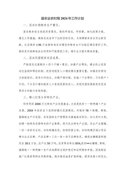 县农业农村局2024年工作计划.docx