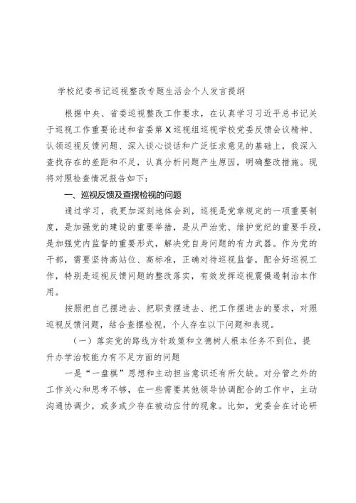 学校纪委书记巡视整改专题生活会个人发言提纲2024.docx