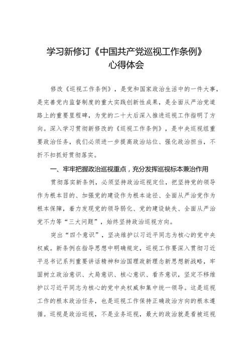 2024版新修订《中国共产党巡视工作条例》学习心得体会五篇.docx