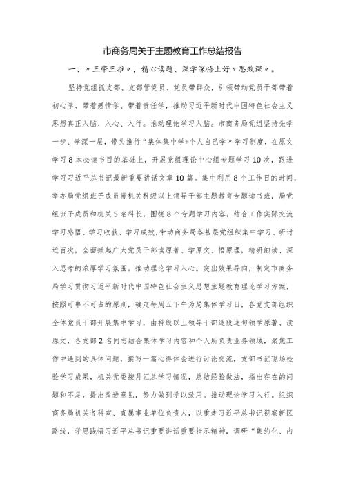 市商务局关于主题教育工作总结报告.docx
