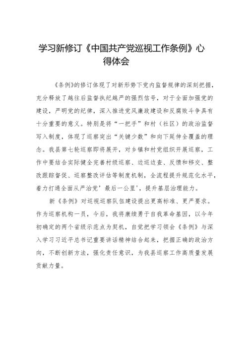 学习中国共产党巡视工作条例2024版心得体会7篇.docx