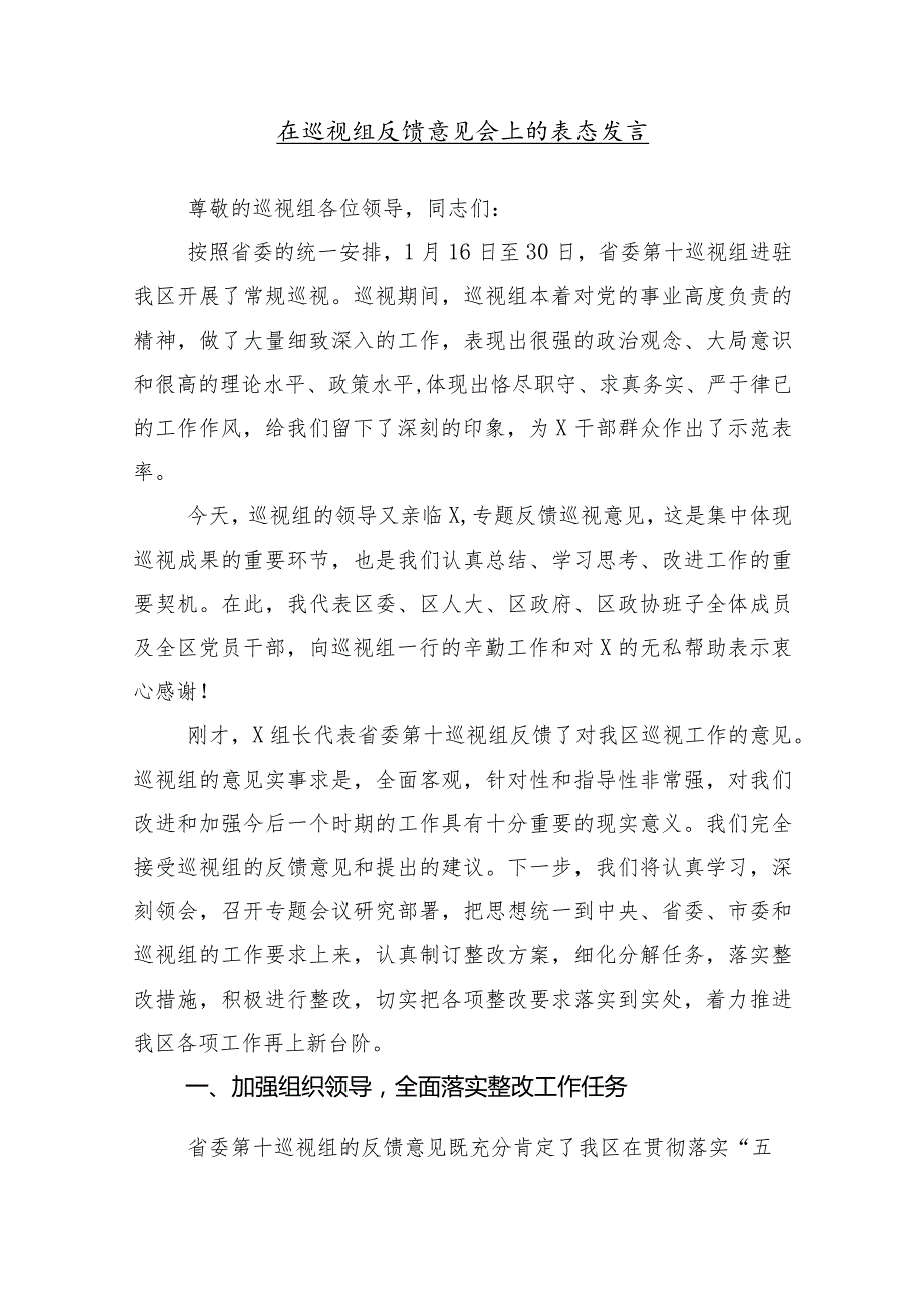 10篇2024年巡察工作反馈会的发言材料.docx_第2页