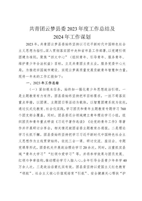共青团2023工作总结及2024年工作谋划.docx