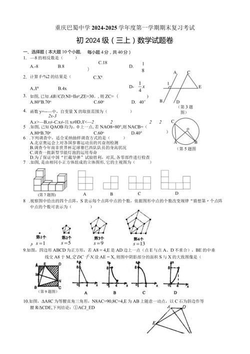 重庆巴蜀中学20242025学第一学期期末复习考试.docx