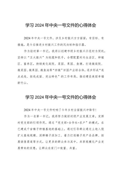 驻村干部关于2024年中央一号文件的学习心得体会22篇.docx