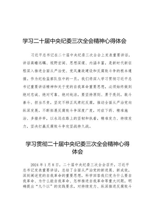 纪检干部关于学习贯彻2024年二十中央纪委三次全会精神的心得体会(25篇).docx