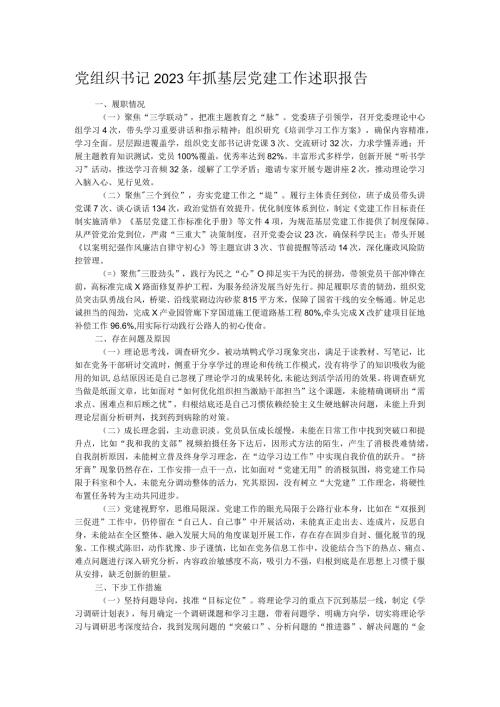 党组织书记2023年抓基层党建工作述职报告.docx
