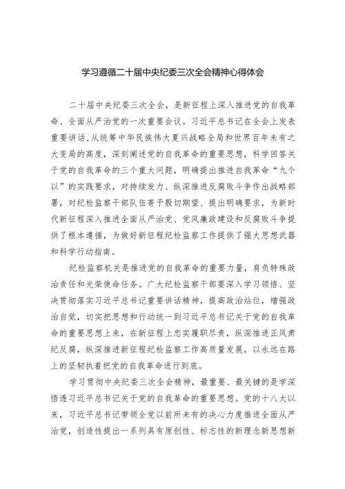 学习遵循二十中央纪委三次全会精神心得体会10篇（详细版）(1).docx