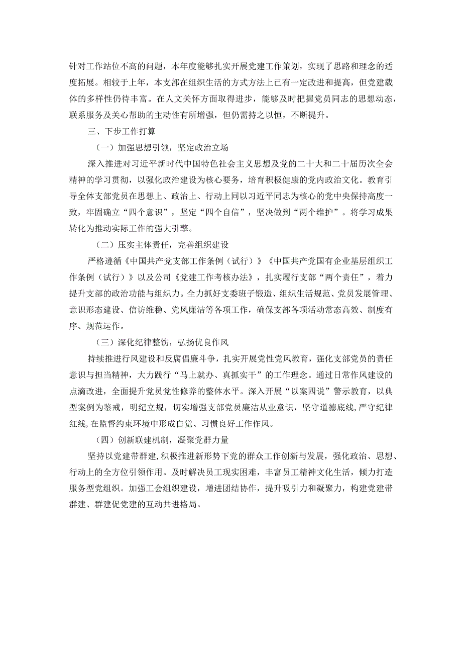 公司党支部书记2024年抓党建述职报告.docx_第3页