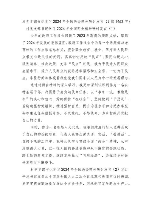 村党支部书记学习2024年全国两会精神研讨发言3篇.docx