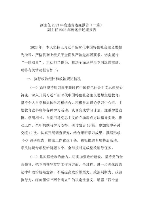 副主任2023述责述廉报告(二篇).docx