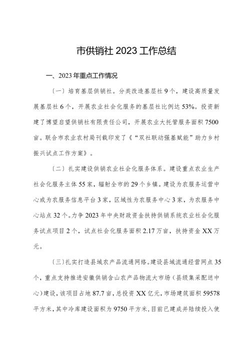 市供销社2023工作总结.docx