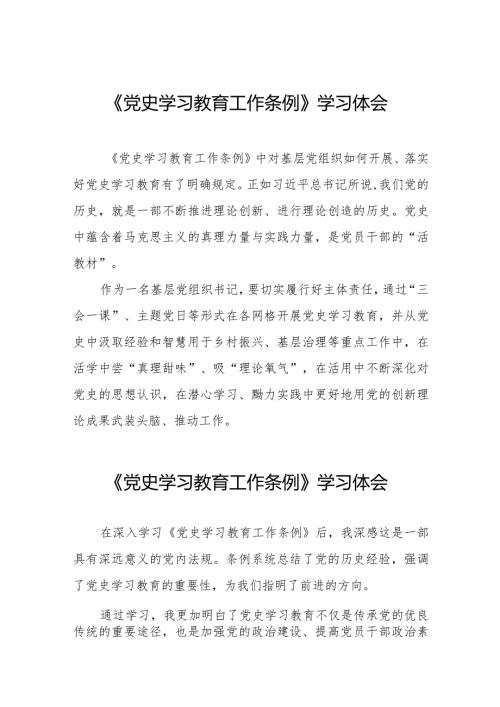 支部学习《党史学习教育工作条例》心得体会十四篇.docx