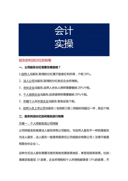 股东的利润分红的税筹.docx