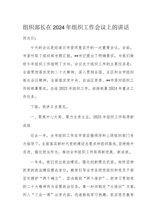 组织部长在2024年组织工作会议上的讲话.docx