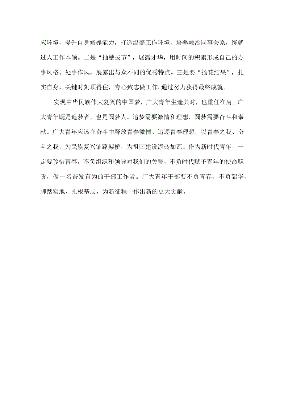 青年干部座谈会发言稿——凝心聚力 奋斗青.docx_第2页