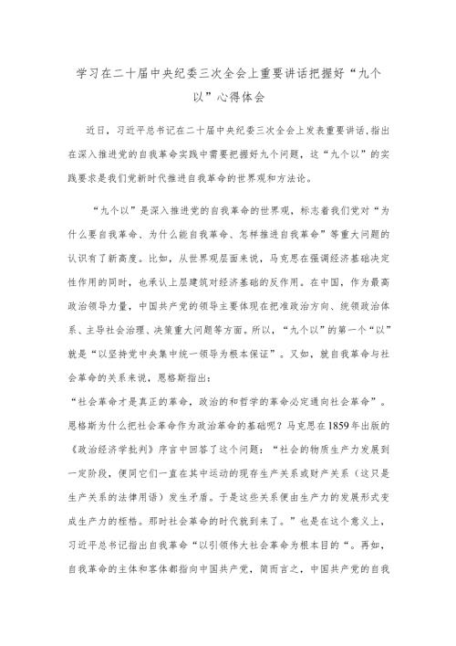学习在二十中央纪委三次全会上重要讲话把握好“九个以”心得体会.docx