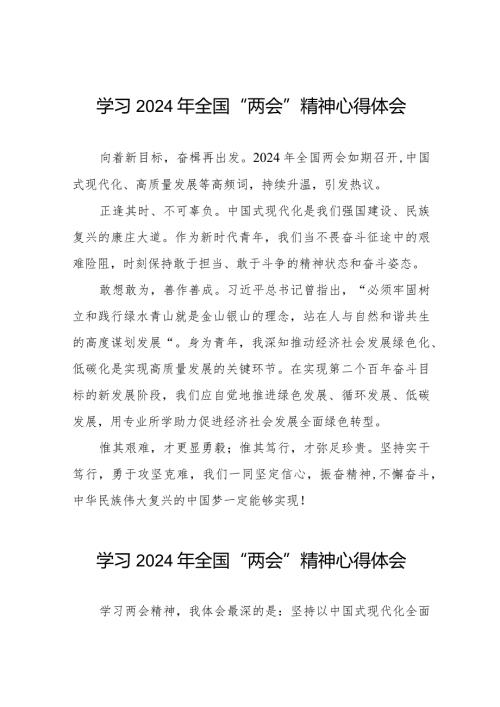 青年党员学习2024年全国“两会”精神心得体会30篇.docx