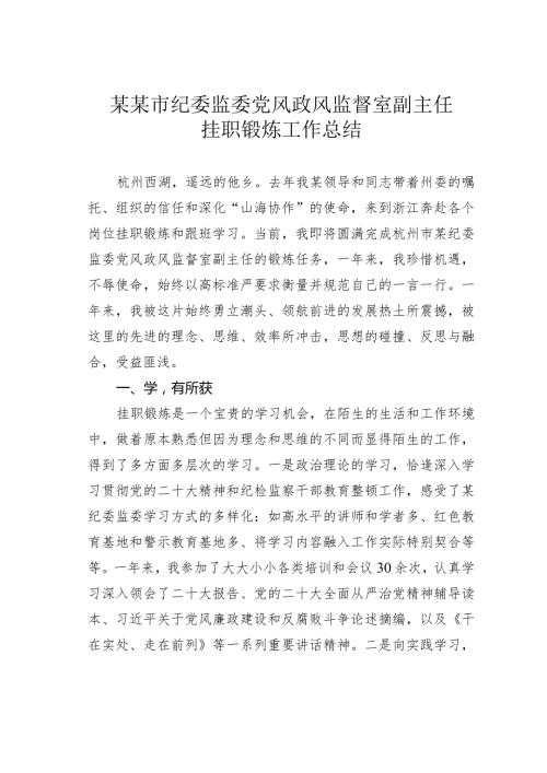 某某市纪委监委党风政风监督室副主任挂职锻炼工作总结.docx