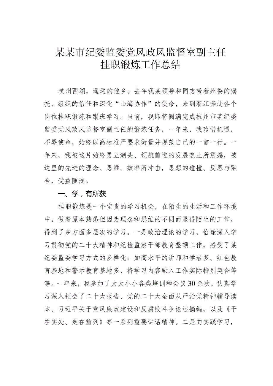 某某市纪委监委党风政风监督室副主任挂职锻炼工作总结.docx_第1页