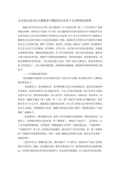 公司党支部书记主题教育专题组织生活会个人对照检查材料(2).docx