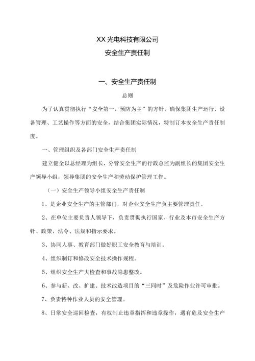 XX光电科技有限公司安全生产责任制（2023年）.docx
