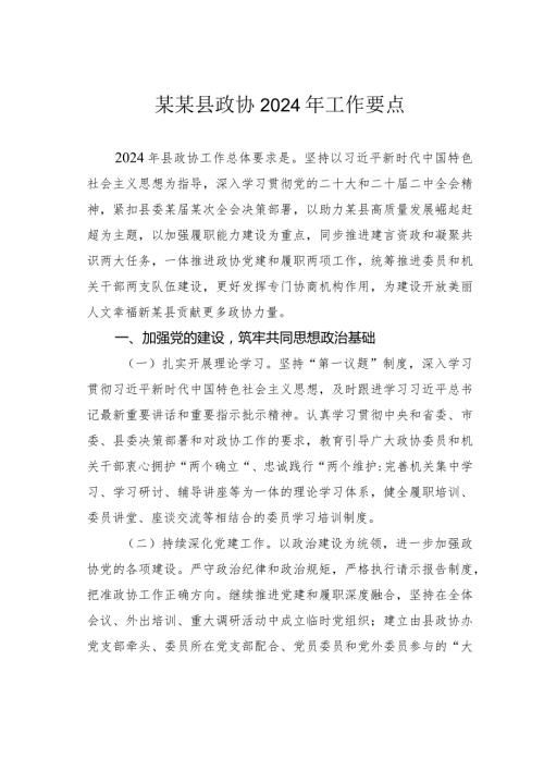 某某县政协2024年工作要点.docx