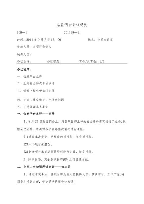 总监工程师例会纪要.docx