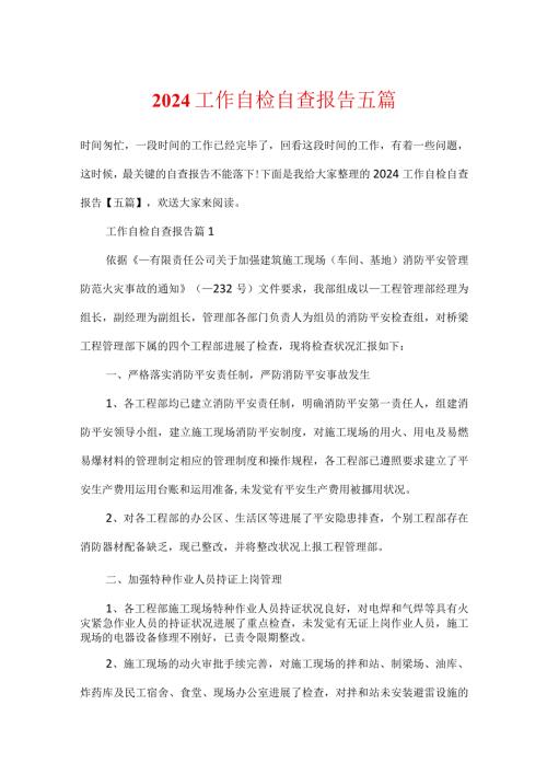 2024工作自检自查报告五篇.docx