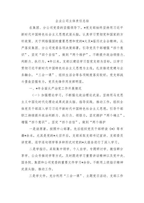 企业公司主体责任总结.docx