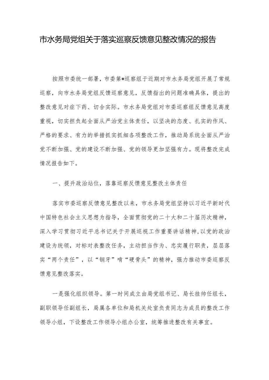 市水务局党组关于落实巡察反馈意见整改情况的报告.docx_第1页