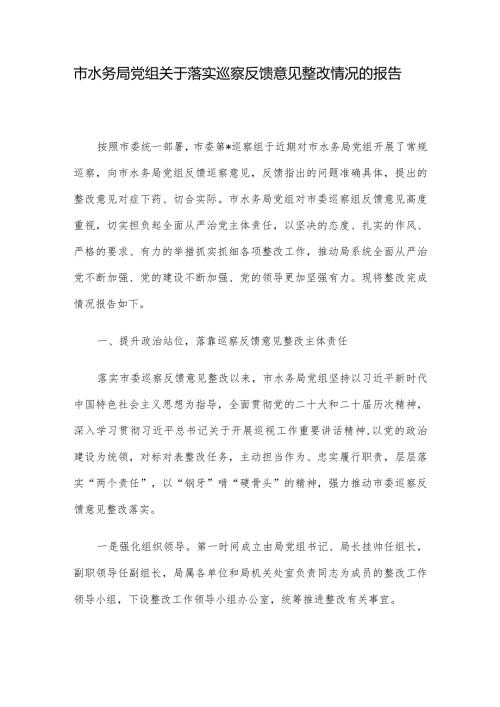 市水务局党组关于落实巡察反馈意见整改情况的报告.docx