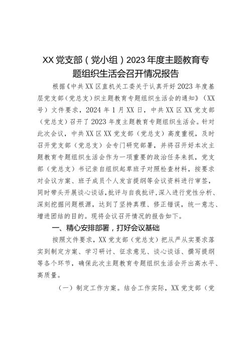 XX党支部（党小组）2023主题教育专题组织生活会召开情况报告.docx