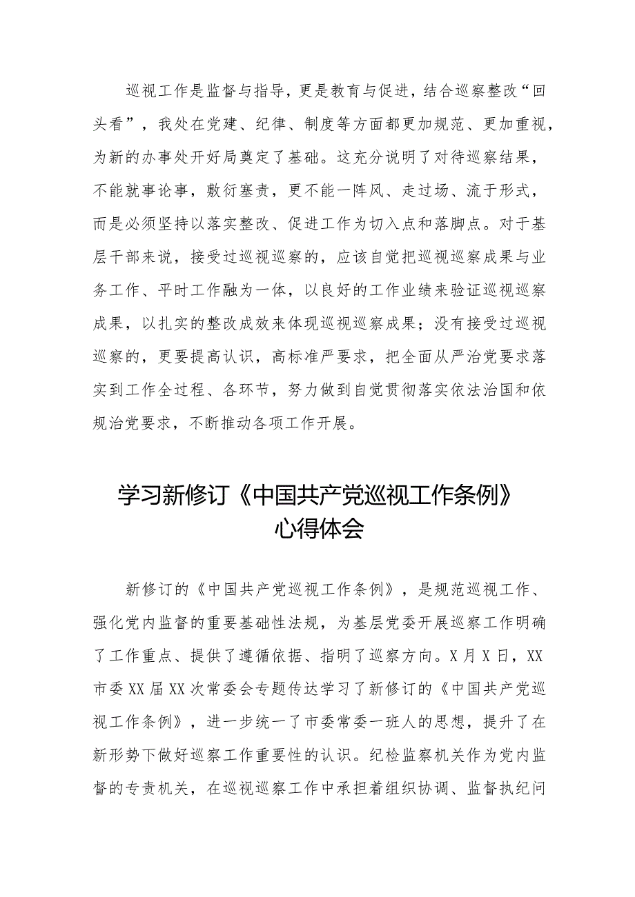 学习新修订《中国共产党巡视工作条例》心得体会交流发言五篇.docx_第3页