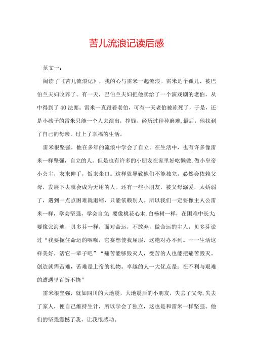 苦儿流浪记读后感.docx