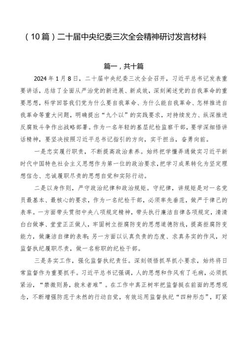 （10篇）二十中央纪委三次全会精神研讨发言材料.docx