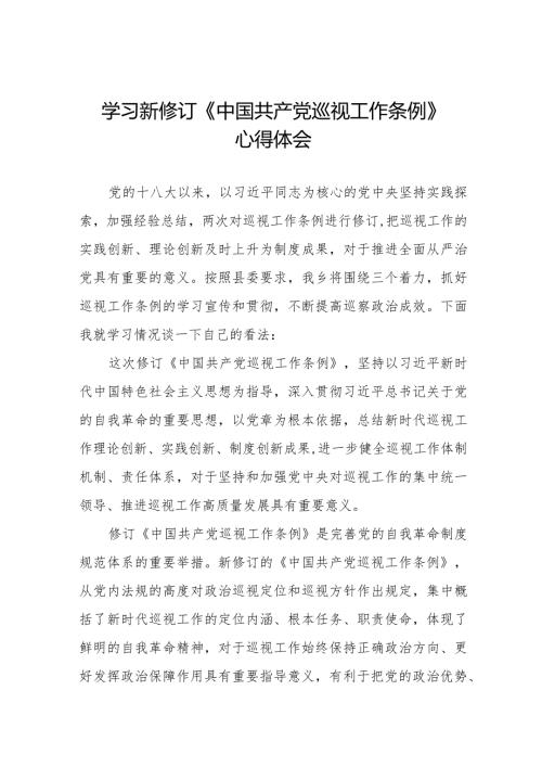 2024街道学习贯彻新修订《中国共产党巡视工作条例》心得体会11篇.docx