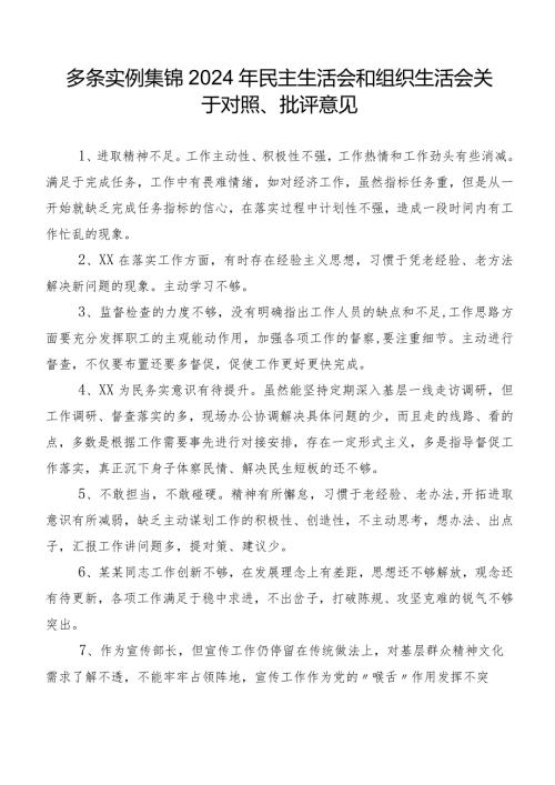 多条实例集锦2024年民主生活会和组织生活会关于对照、批评意见.docx