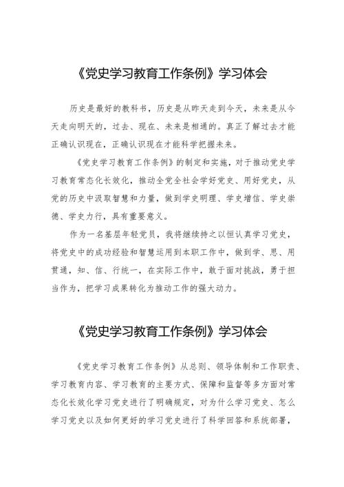 八篇党员干部学习《党史学习教育工作条例》心得体会发言材料.docx