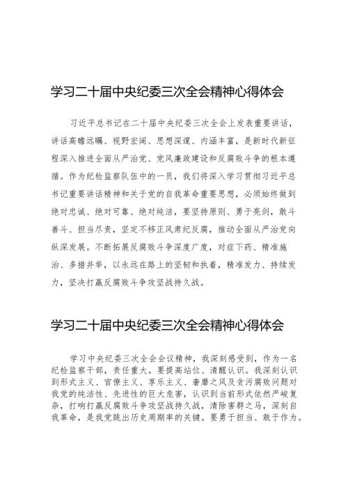 纪检人员学习贯彻二十中央纪委三次全会精神的心得体会(25篇).docx