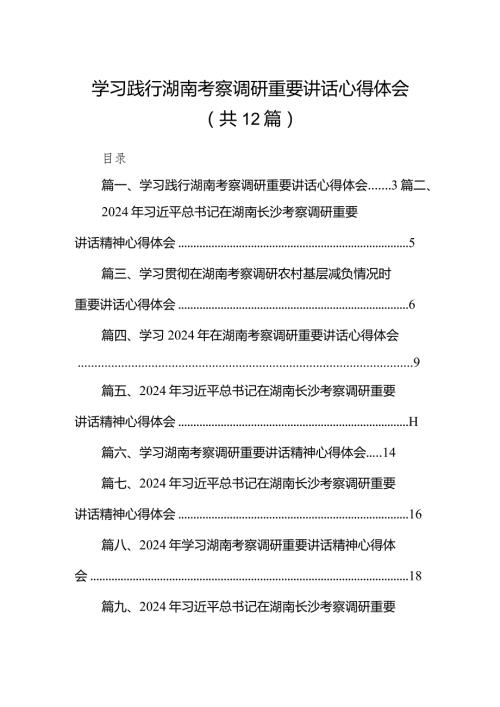 学习践行湖南考察调研重要讲话心得体会（共12篇）.docx