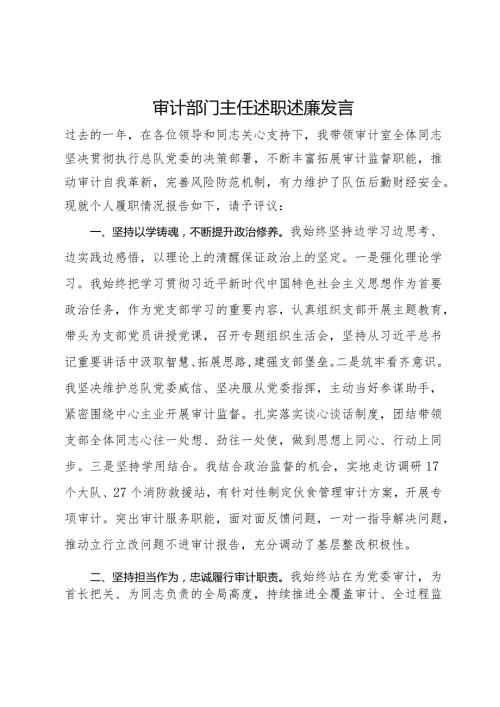 审计部门主任述职述廉发言.docx