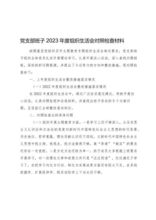 党支部班子20232024组织生活会班子对照检查材料.docx