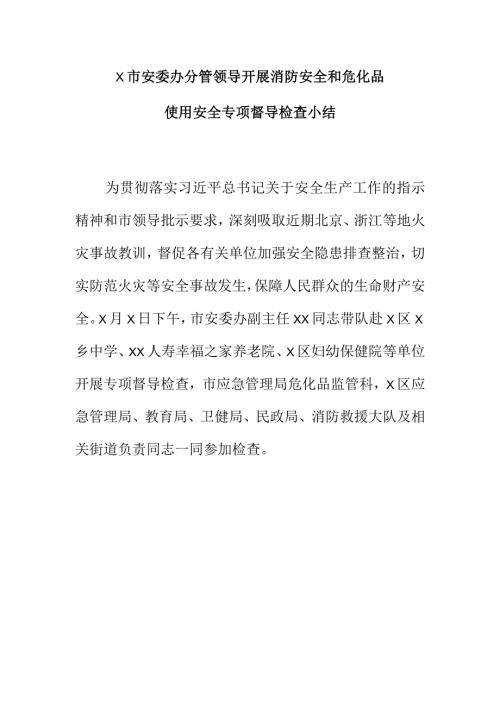 X市安委办分管领导开展消防安全和危化品使用安全专项督导检查小结.docx