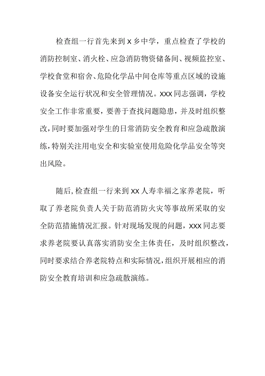 X市安委办分管领导开展消防安全和危化品使用安全专项督导检查小结.docx_第2页