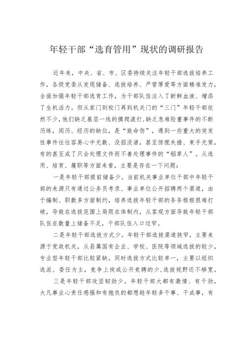 年轻干部“选育管用”现状的调研报告.docx