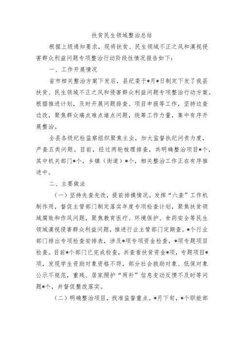 扶贫民生领域整治总结.docx