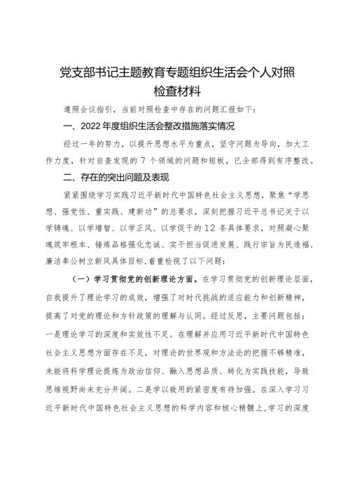 党支部书记主题教育专题组织生活会个人对照检查材料(1).docx