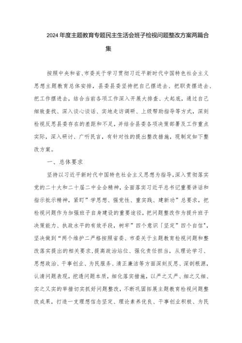 2024主题教育专题民主生活会班子检视问题整改方案两篇合集.docx