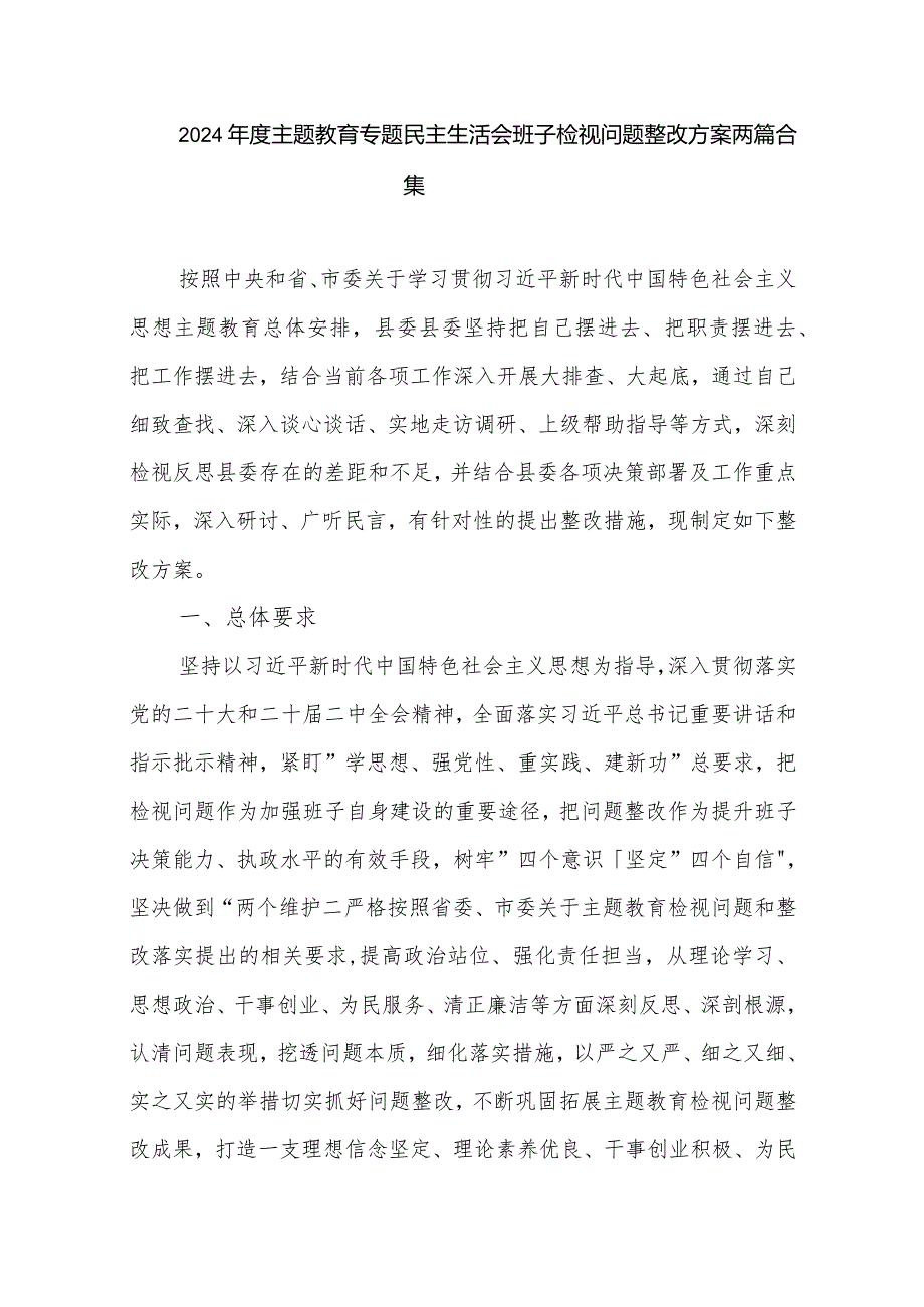 2024主题教育专题民主生活会班子检视问题整改方案两篇合集.docx_第1页